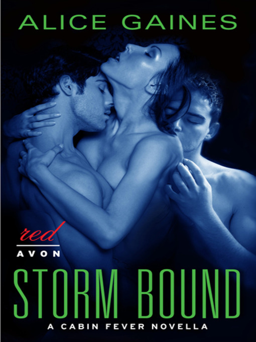 Title details for Storm Bound by Alice Gaines - Wait list